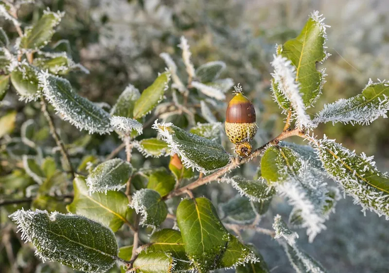 Seven Days, Seven Struggles: Life on the Front Line of the Winter Cash-Flow Squeeze
